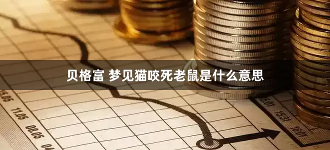 贝格富 梦见猫咬死老鼠是什么意思