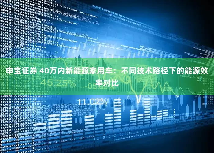 申宝证券 40万内新能源家用车：不同技术路径下的能源效率对比